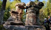 Excursión Senderismo Walscheid - rocher Mutzig séquoia  - Photo 6