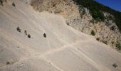 Randonnée Marche Brantes - Brantes-Ventoux-Frache-Brantes-Bis - Photo 5