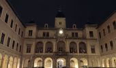 Randonnée Marche Vienne - naïade nocturne digestive à Vienne - Isère - Photo 20