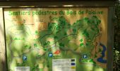 Trail Walking Les Vans - sentier du bois de païolive - Photo 1