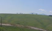 Tour Wandern Monteroni d'Arbia - CR_Francigena_DG_43_Monteroni-D-Arbia_San-Quirico-D-Orcia_20230526 - Photo 20