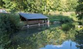 Tour Wandern Champigny-sur-Veude - Lémeré Fontaine de Jable - variante PR de Champigny-sur-Veude - 13.1km 160m 3h00 - 2024 08 25 - Photo 13