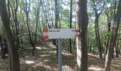 Trail On foot Roncola - Sentiero 861: Barzana - Palazzago - Monte Albenza (Sentiero del crinale) - Photo 1