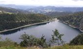 Randonnée Marche Orbey - Tour de lac Noir et du Lac Blanc  - Photo 18