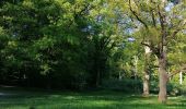 Excursión Senderismo Tervuren - Forêt de Soigne Tervuren - Photo 1