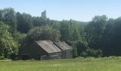Trail Walking Cerfontaine - Gal - Photo 2
