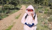 Trail Walking Cuers - Promenade sous les barres de Cuers, en partant du village de Cuers - Photo 4