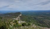 Trail Walking Seynes - Seynes et la grotte des 3 ours - Photo 4