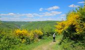 Tour Wandern Goesdorf - Goebelsmühle - Bourscheid - Dirbach - Photo 12