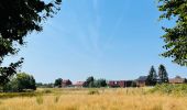 Tour Wandern Sint-Truiden - La reserve naturelle Op d’Hei à Runkelen - Photo 10