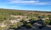 Tour Wandern Castelnau-de-Guers - L’étendoir aux fées  - Photo 7