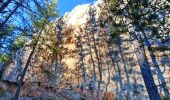 Trail Walking La Robine-sur-Galabre - 20191209_Passerelle Bès_Lame Facibelle_Belvédère Pas d'oiseaux  - Photo 9