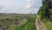 Randonnée Marche Theux - au sud de Bronrome  - Photo 11