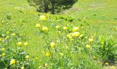 Percorso Marcia Montcel - REVARD: CROLLES - EBATS - MERMET - COCHETTE - PLATE - CREUSATES - Photo 1