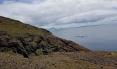Trail Walking Caniçal - Madère : la presqu'île de Sao Lourenço - Photo 14