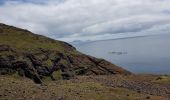 Excursión Senderismo Caniçal - Madère : la presqu'île de Sao Lourenço - Photo 14