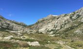 Trail Walking Bastelica - Val d’Ese - Photo 10