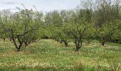 Trail Walking Mirabel - Autour de Mirabel - Photo 12