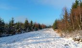 Excursión Senderismo Theux - bronromme, premières neige hivers 23-24 - Photo 11