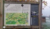 Trail Walking Elven - PR_56_Elven_BA_02_Kerbiler_Circuit1b_20231217 - Photo 7