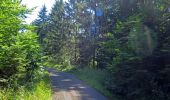 Trail On foot Ebelsbach - Rundwanderweg Milan Rudendorf - Photo 5