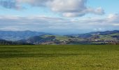 Tour Wandern St. Märgen - Cascade Zweribach depuis Sankt Märgen - Photo 4