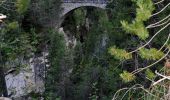 Tocht Te voet Bergün Filisur - Monstein - Jenisberg - Photo 4