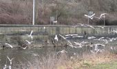 Percorso Marcia Liegi - Par Vesdre et canal de l'Ourthe  - Photo 14