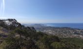 Tour Wandern Toulon - Tour du Faron - Toulon - Photo 2