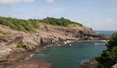 Trail Walking La Trinité - Presqu'île de la Caravelle 🌡️ - Photo 13