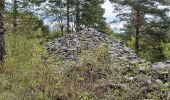 Tour Wandern Saint-Saturnin-lès-Apt - APT S Saturnin d Apt  , sentier des Auguiers et des bornes o - Photo 4