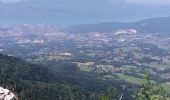 Tocht Stappen Montcel - BAUGES: TOUR DE LA FORET DOMANIALE DU GRAND REVARD - Photo 4