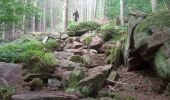 Tour Zu Fuß Schneeberg - Rundwanderweg Schneeberg 7: Morretal-Wanderung - Photo 3