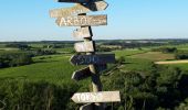 Trail Walking Val-du-Layon - St Aubin de Luigné - Photo 2