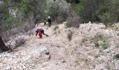 Trail Walking Ollioules - Destel  avec les Seynois - Photo 1