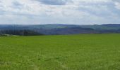 Trail Walking La Roche-en-Ardenne - Samree 190324 - Photo 9