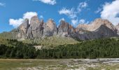 Trail Walking Santa Cristina Gherdëina - St. Christina in Gröden - Santa Cristina Valgardena - Col Raiser - Seceda - Pieralonga  - Photo 6