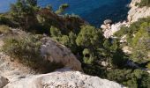 Tour Wandern Marseille - Rando tour de la Candelle-Sugiton-Sofmiou - Photo 16