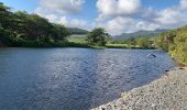 Excursión Senderismo Le Lorrain - Boucle Vallon - Morne-Bois - Seguineau - Photo 3