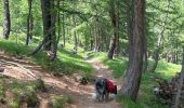 Trail Walking Pontechianale - Alf Queyras J2 réel Col Agnel / L’Echalp - Photo 10
