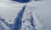 Trail Snowshoes La Plagne-Tarentaise - La Plagne Village, Col de la grande Forcle, Dou du Praz, La Bergerie, La Plagne Village. - Photo 7