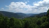 Trail Walking Girmont-Val-d'Ajol - Etang Villerain-la Beuille-Etang Mollière 17-05-20 - Photo 2