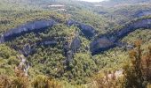 Excursión Senderismo Monieux - gorges de la nesque - Photo 1