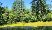 Trail Walking Ciney - Conjoux 300724 - Photo 4