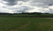 Tocht Stappen Durbuy - Les Dolmens de Wéris  - Photo 10