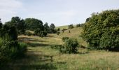 Tour Zu Fuß Unknown - Strandkærstien - Photo 1