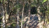 Trail Walking Laroque - laroque, plateau de thaurac - Photo 10