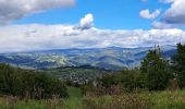 Tour Wandern Vimenet - les crêtes de Vimenet - Photo 12