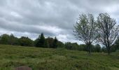Trail Walking Mittlach - Les chaumes du Breutfirst - Photo 1