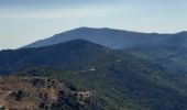 Excursión Senderismo Laroque-des-Albères - 22 08 / 8-9-10  Oli40 épisode 3 vom ullat - Laroque des Alberes  - Photo 13